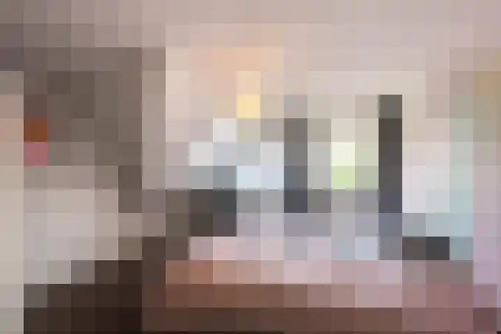 Borgvliet 13 Oss thumbnail 18