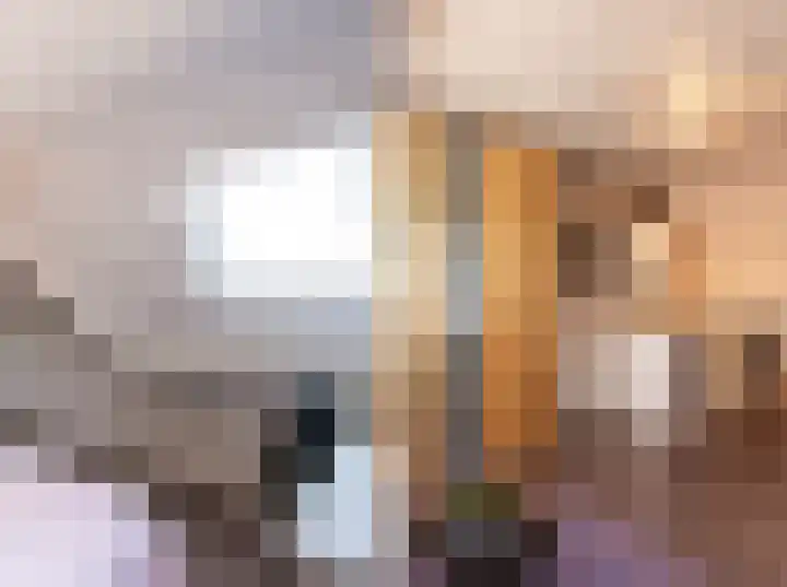 Borgvliet 13 Oss thumbnail 19
