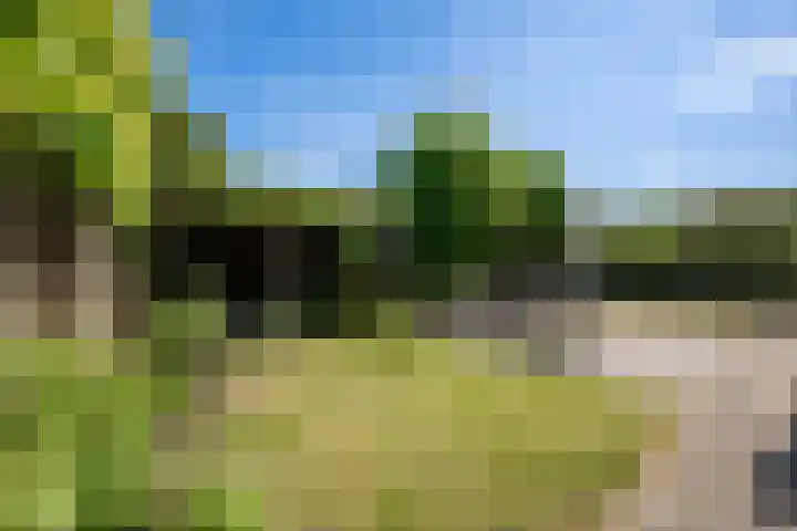 Borgvliet 13 Oss thumbnail 26