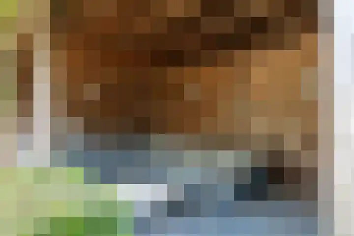 Borgvliet 13 Oss thumbnail 27