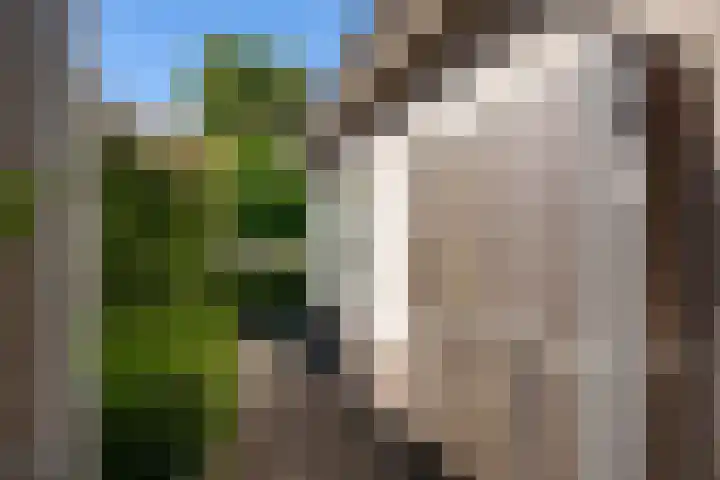 Borgvliet 13 Oss thumbnail 28