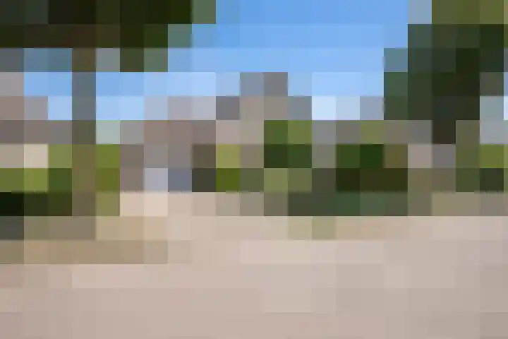 Borgvliet 13 Oss thumbnail 5