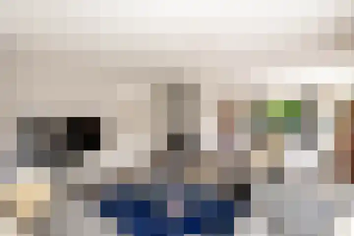 Borgvliet 13 Oss thumbnail 8