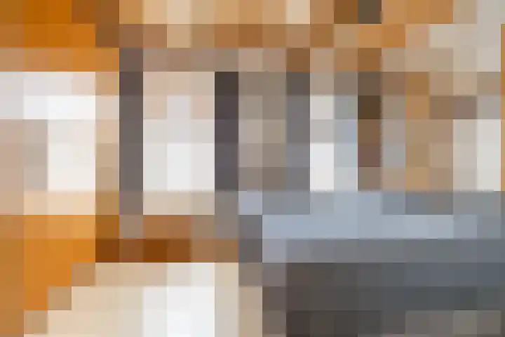 Borgweg 10 Lellens thumbnail 15