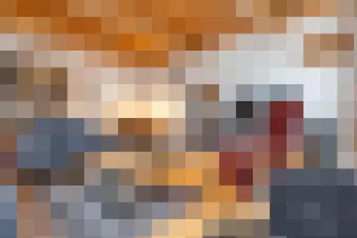 Borgweg 10 Lellens thumbnail 22