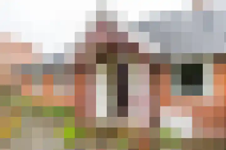 Borgweg 10 Lellens thumbnail 44