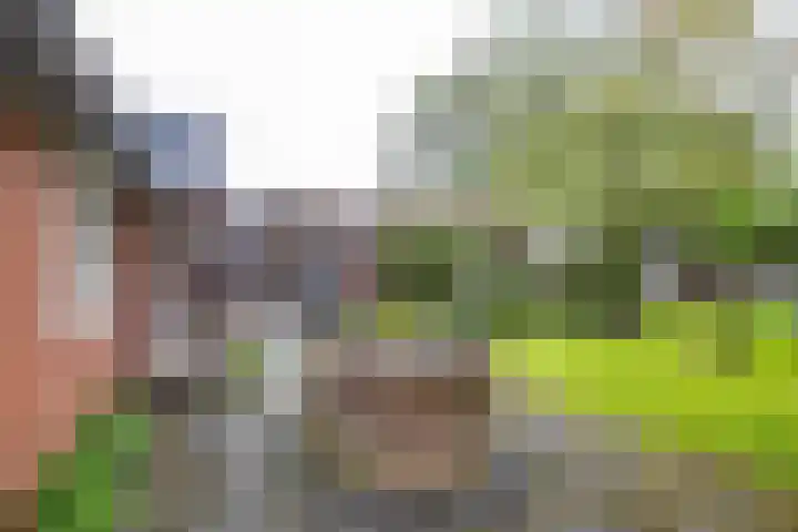 Borgweg 10 Lellens thumbnail 45