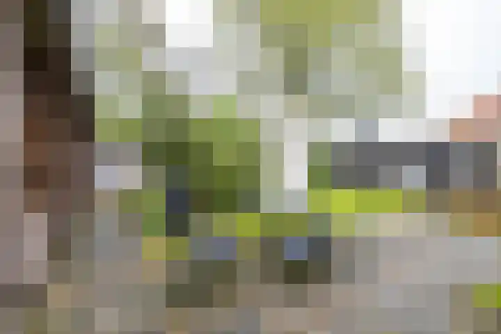Borgweg 10 Lellens thumbnail 47