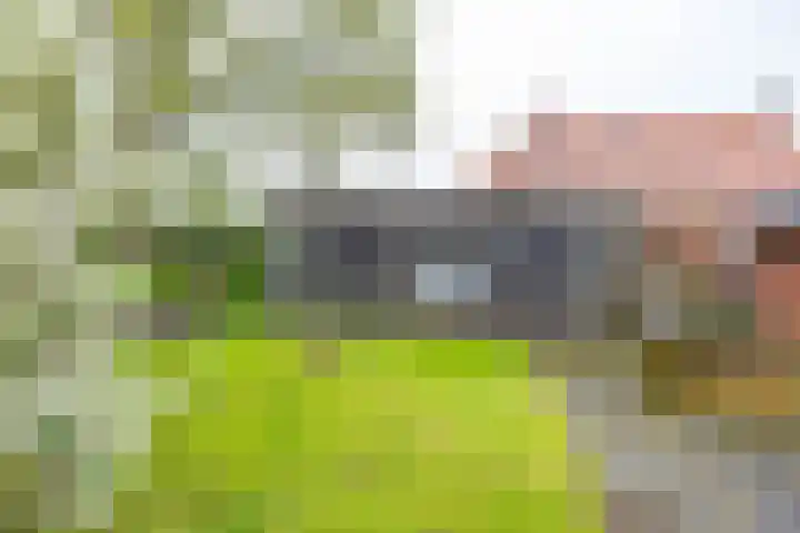 Borgweg 10 Lellens thumbnail 51