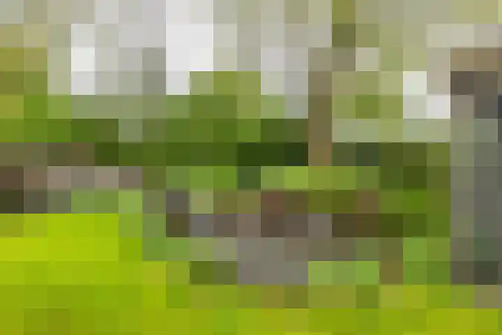 Borgweg 10 Lellens thumbnail 53