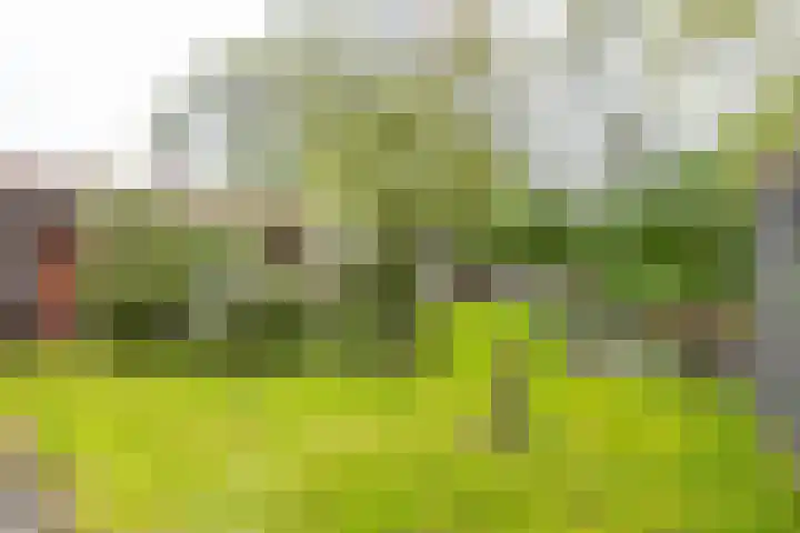 Borgweg 10 Lellens thumbnail 54