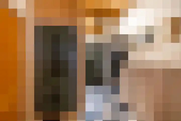 Borgweg 10 Lellens thumbnail 8