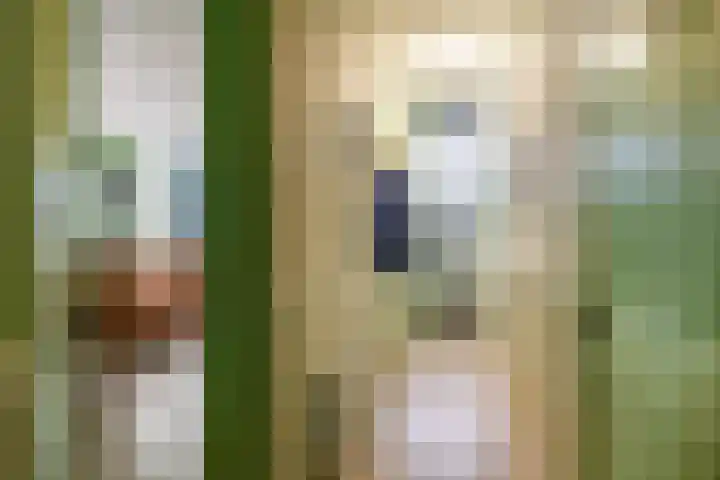 Borgweg 14 Lellens thumbnail 12