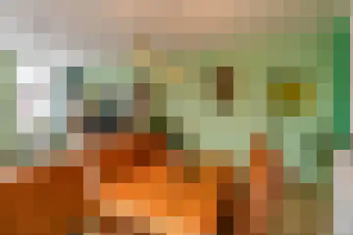 Borgweg 14 Lellens thumbnail 18