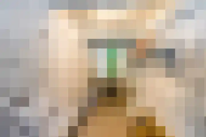 Borgweg 14 Lellens thumbnail 23