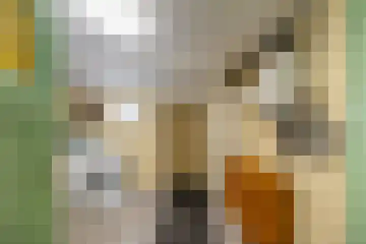 Borgweg 14 Lellens thumbnail 24