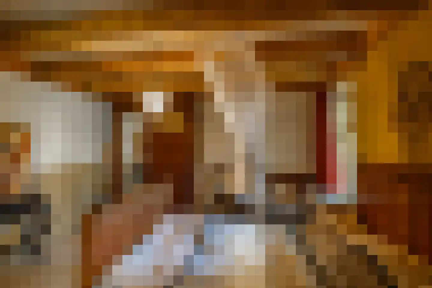 Borgweg 62 Zeerijp thumbnail 20