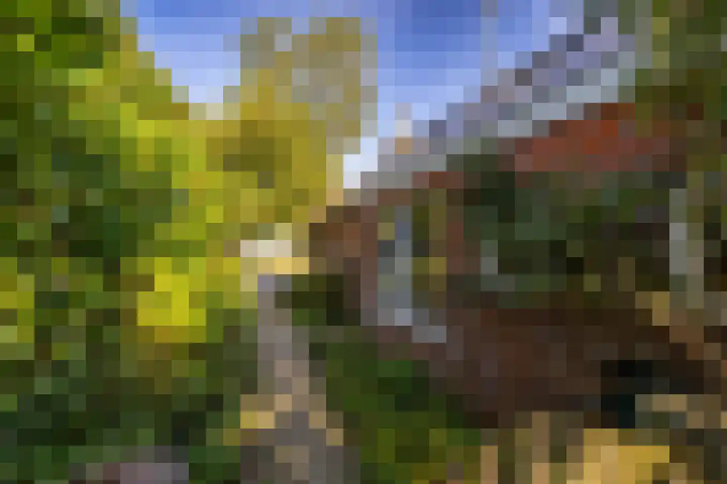 Borgweg 62 Zeerijp thumbnail 28