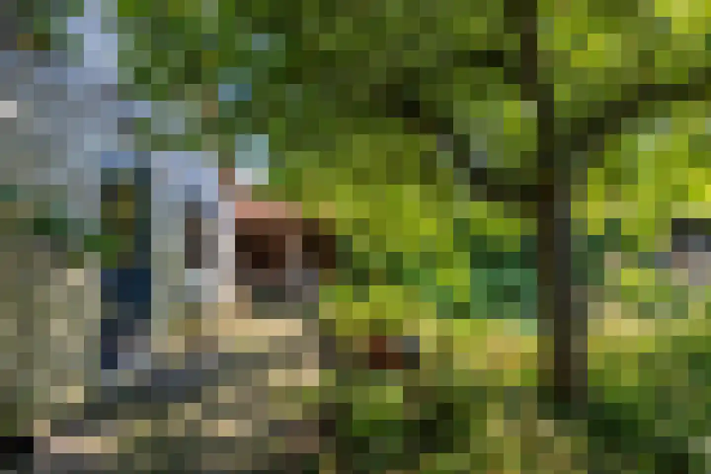 Borgweg 62 Zeerijp thumbnail 31