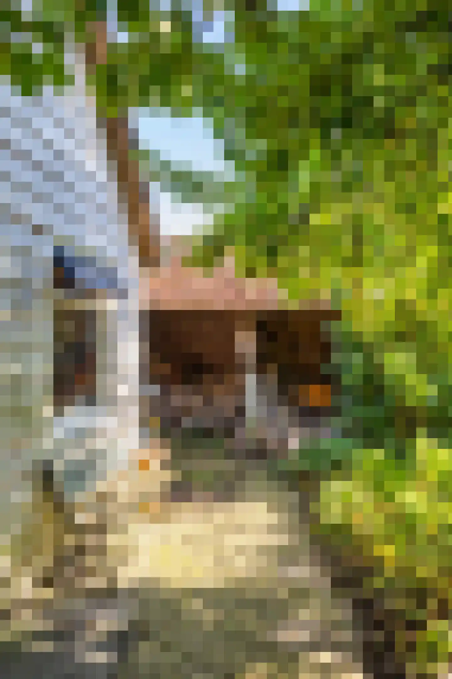 Borgweg 62 Zeerijp thumbnail 33