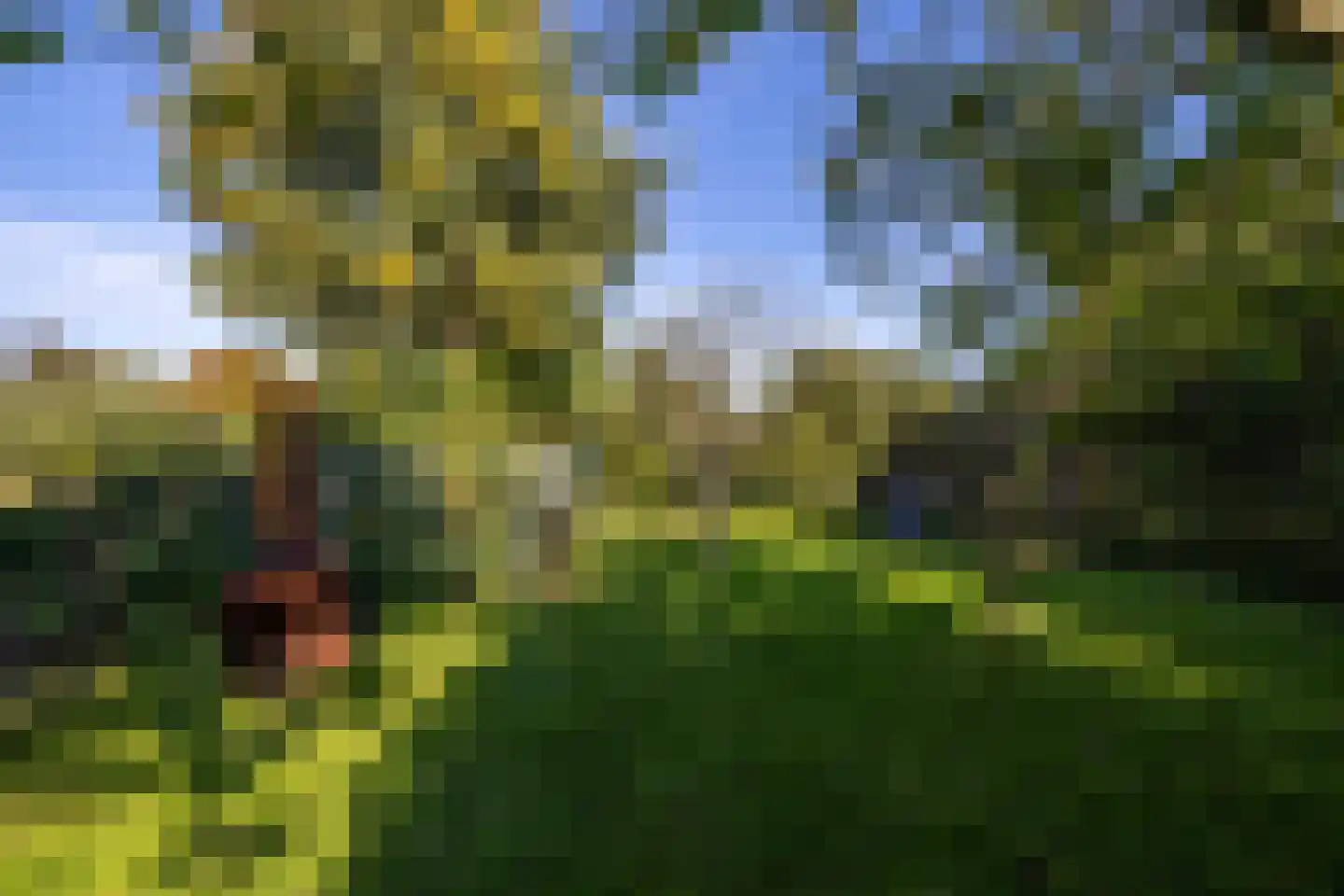 Borgweg 62 Zeerijp thumbnail 36