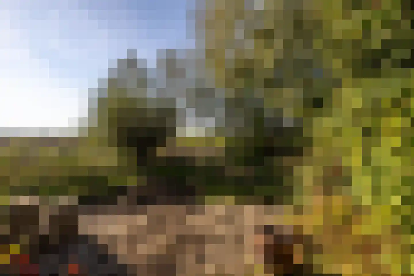 Borgweg 62 Zeerijp thumbnail 39