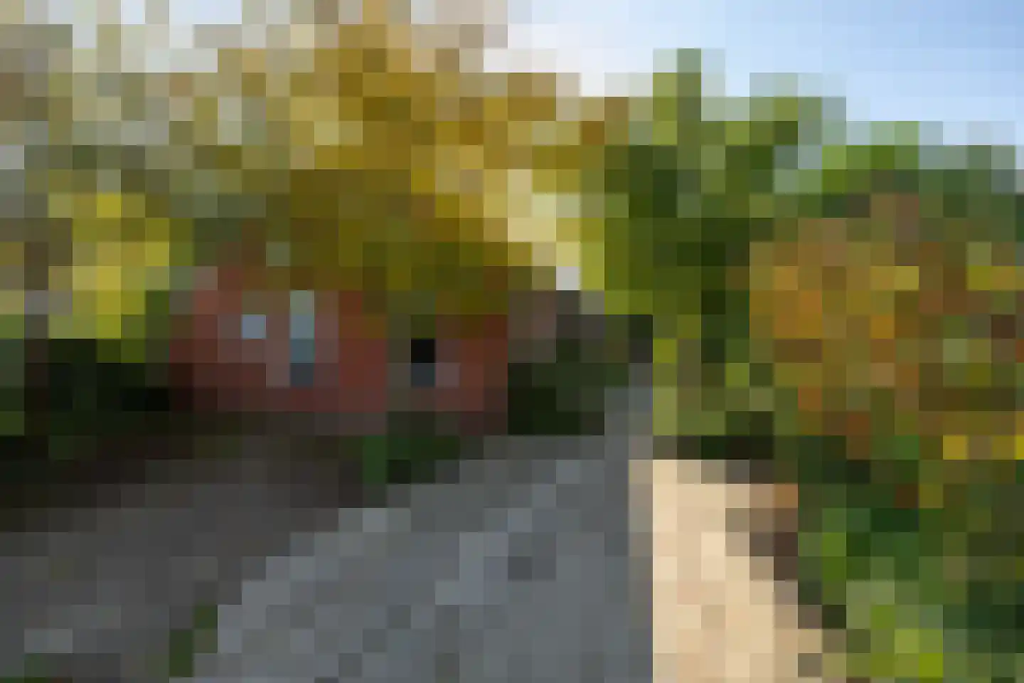 Borgweg 62 Zeerijp thumbnail 41