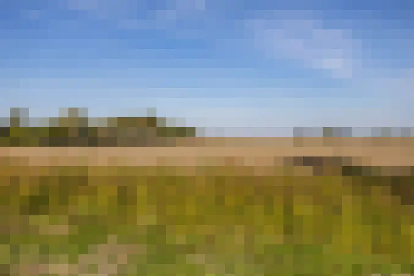 Borgweg 62 Zeerijp thumbnail 44