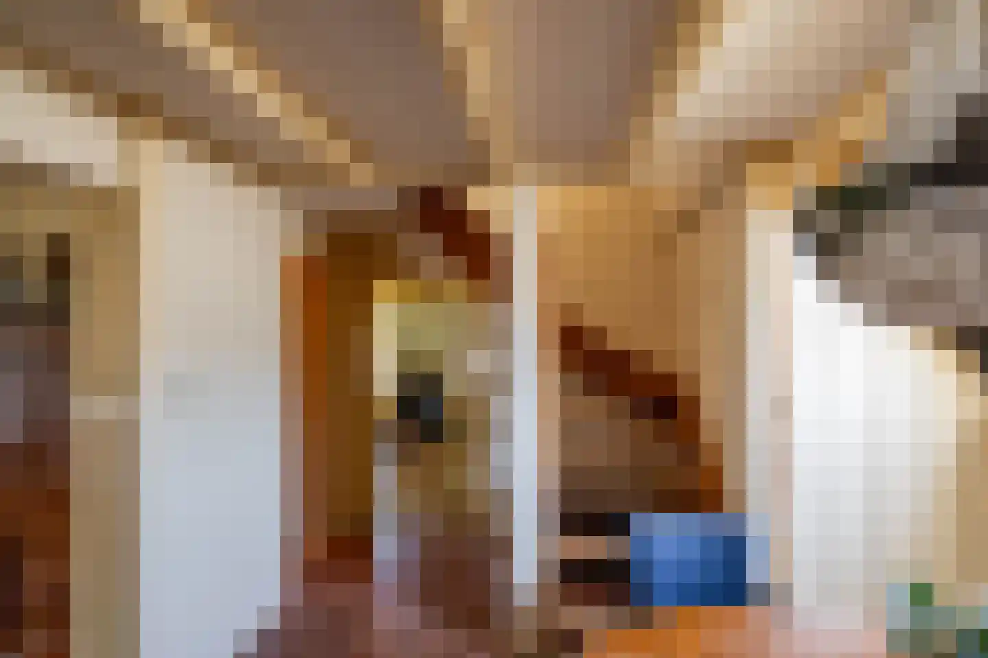 Borgweg 62 Zeerijp thumbnail 9