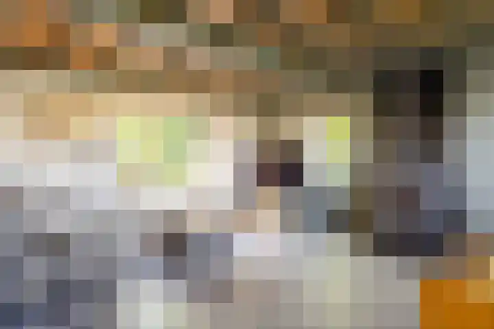 Borgweg 76 Zeerijp thumbnail 12