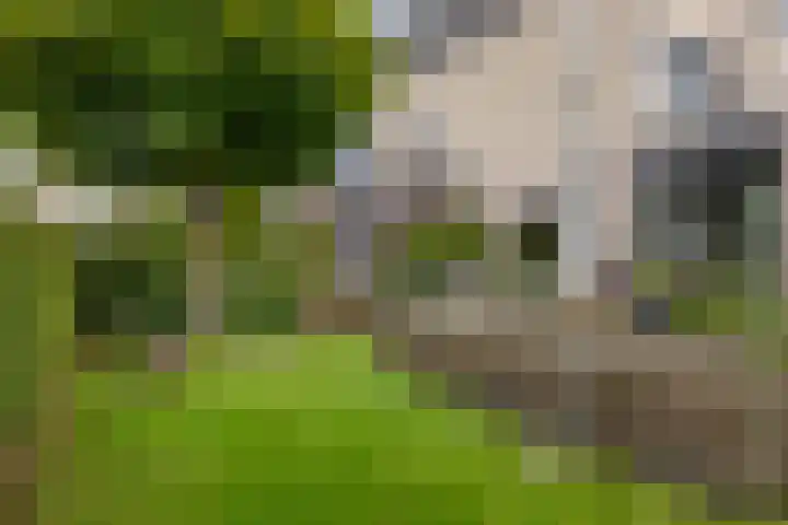 Borkumkade 1 Woerden thumbnail 47