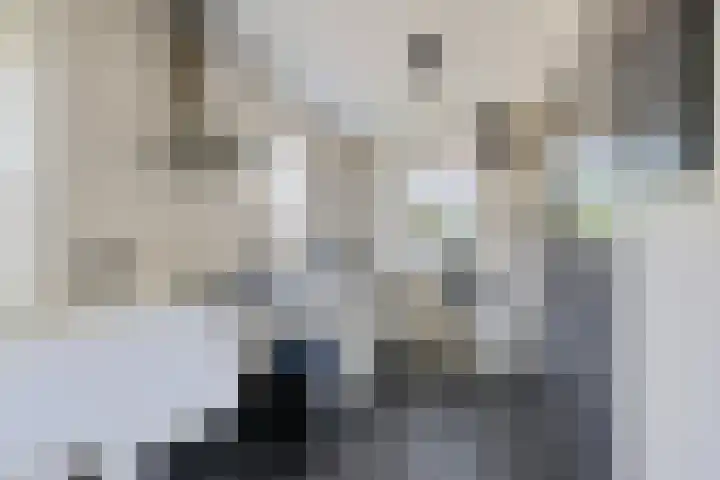 Borndiep 3 Sneek thumbnail 10