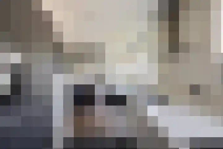 Borndiep 3 Sneek thumbnail 11
