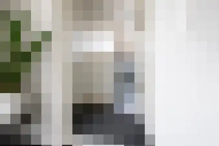 Borndiep 3 Sneek thumbnail 15