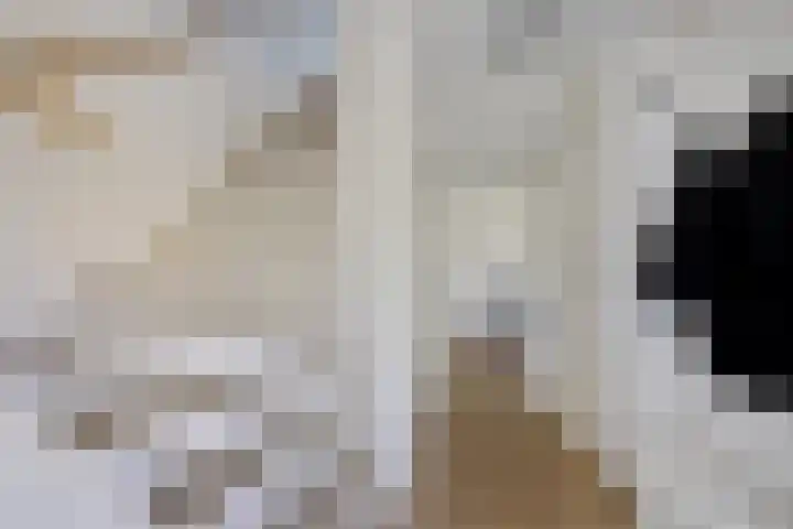 Borndiep 3 Sneek thumbnail 16