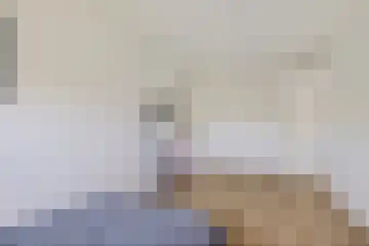 Borndiep 3 Sneek thumbnail 20