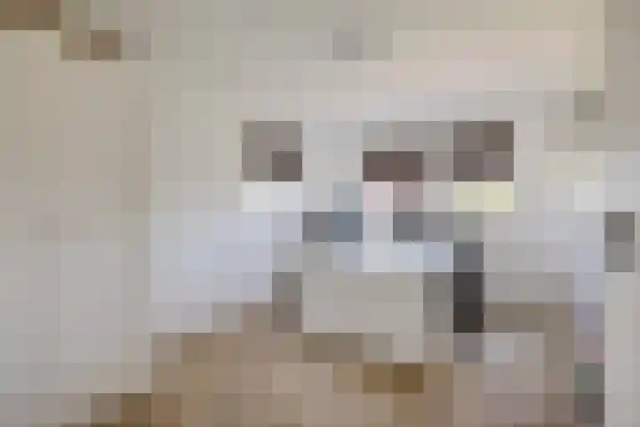 Borndiep 3 Sneek thumbnail 21