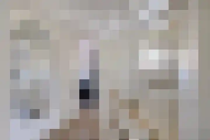 Borndiep 3 Sneek thumbnail 27