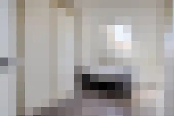 Borndiep 3 Sneek thumbnail 30
