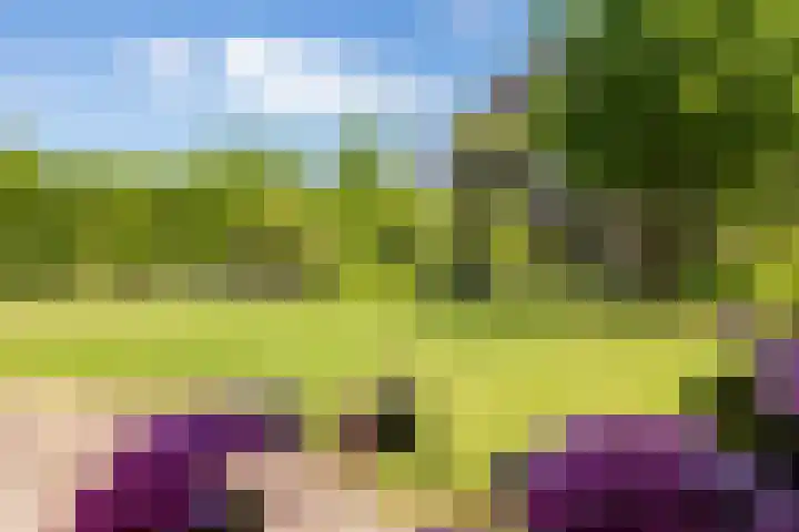Borndiep 3 Sneek thumbnail 38