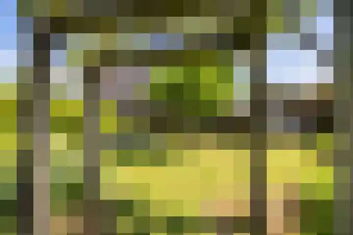 Borndiep 3 Sneek thumbnail 39