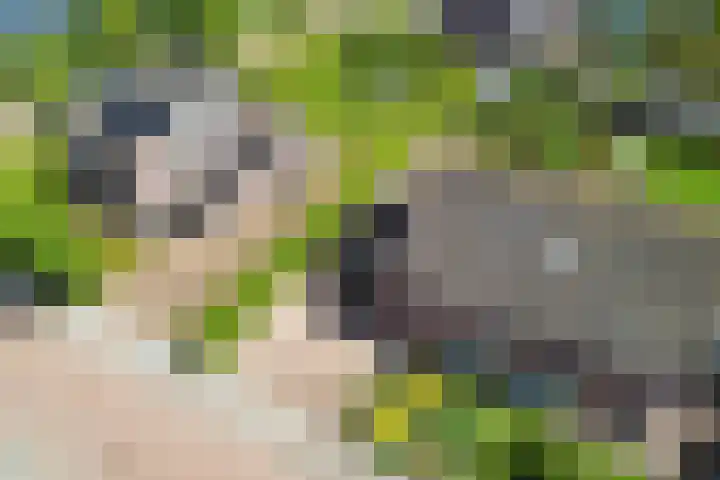 Borndiep 3 Sneek thumbnail 48