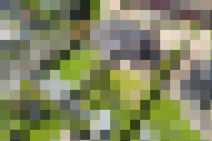 Borndiep 3 Sneek thumbnail 49