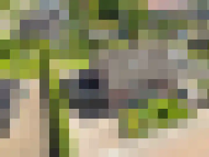 Borndiep 3 Sneek thumbnail 57