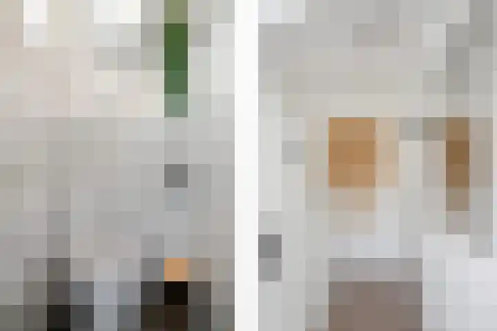 Borneolaan 19 Ede thumbnail 10