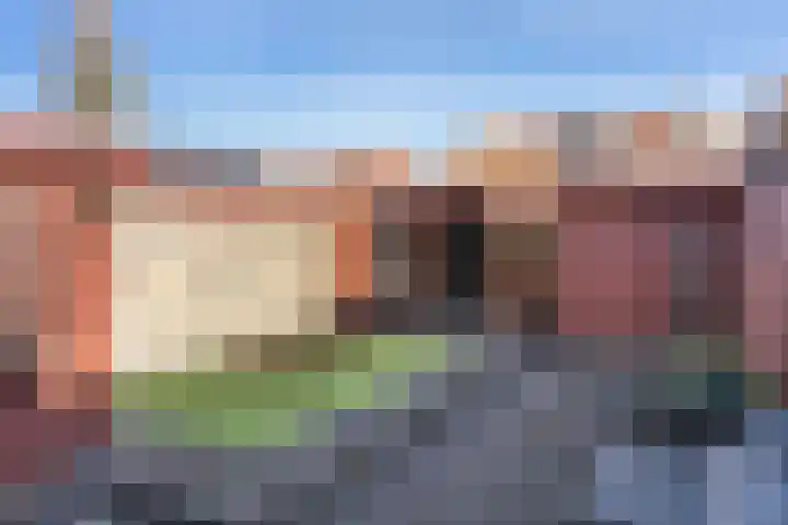 Borneolaan 19 Ede thumbnail 19