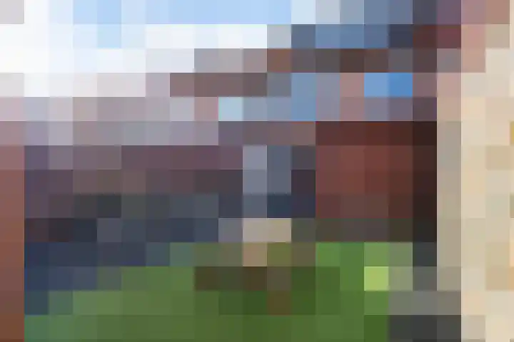 Borneolaan 19 Ede thumbnail 22