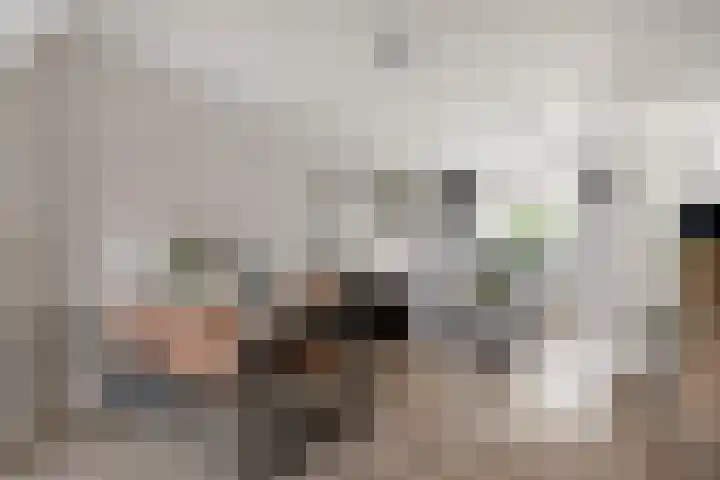 Borneolaan 19 Ede thumbnail 5