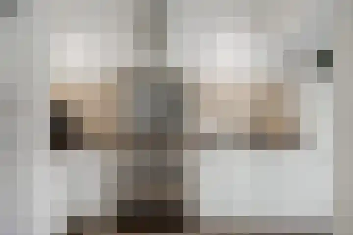 Borneolaan 19 Ede thumbnail 9
