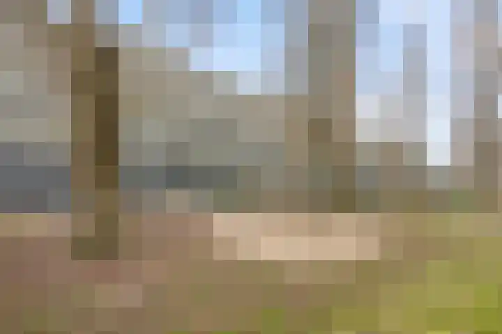 Borneolaan 191 Amsterdam thumbnail 33